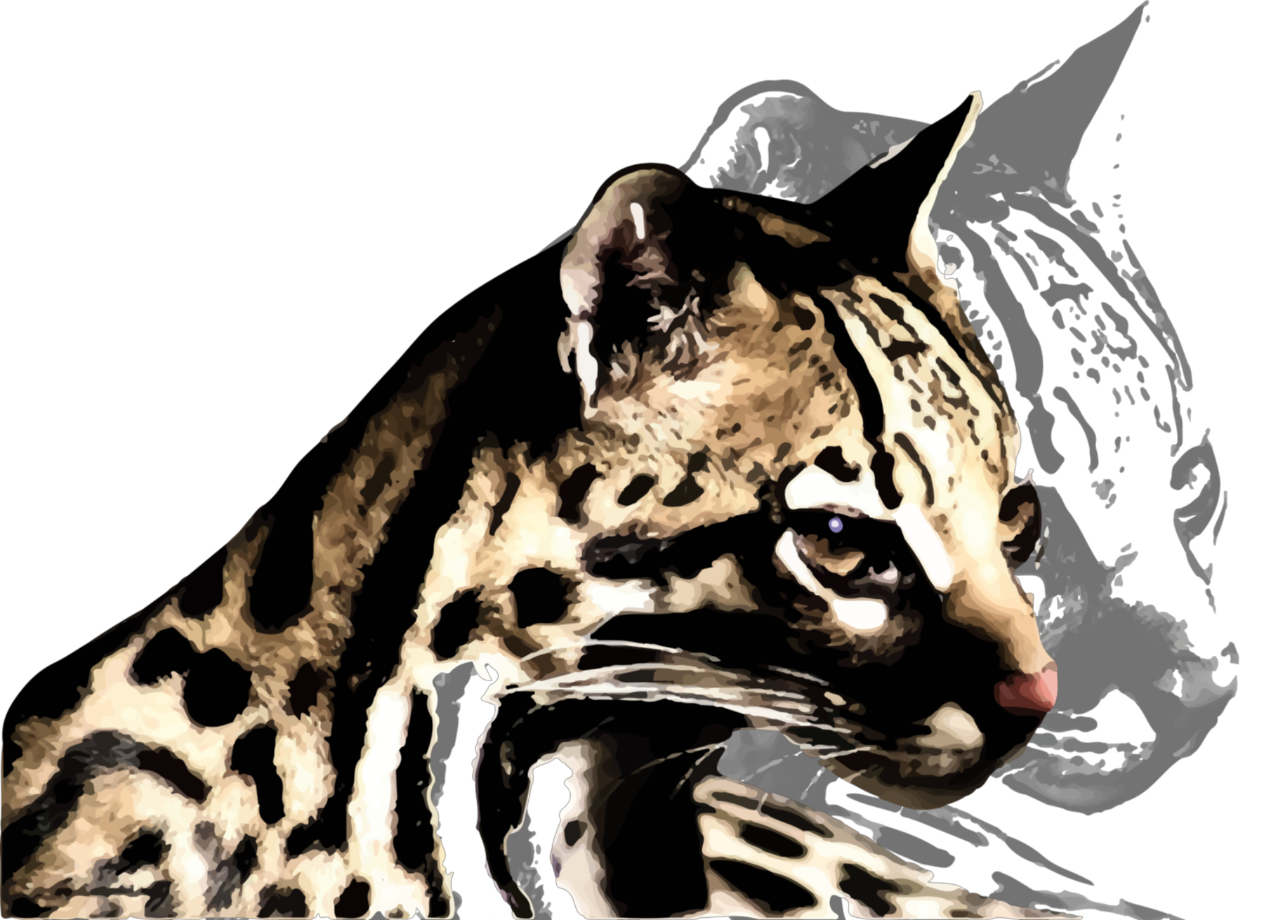 Leopardus.png