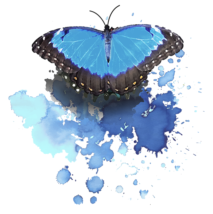 Estampa 2 - Borboleta - Sem Fundo site.png