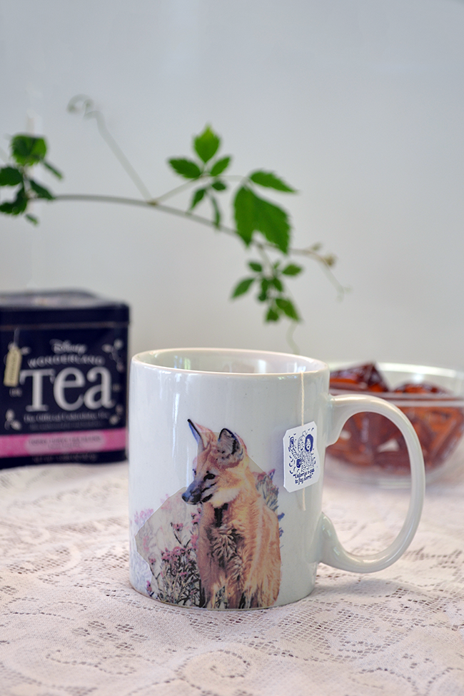 Chrysocyon Frente.png