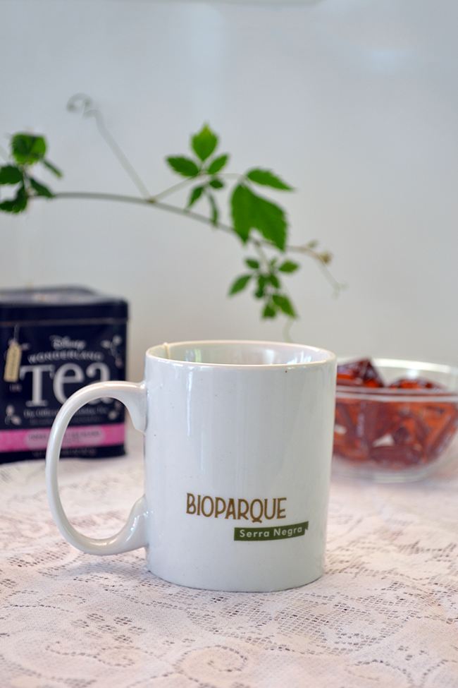 Chrysocyon Verso.png